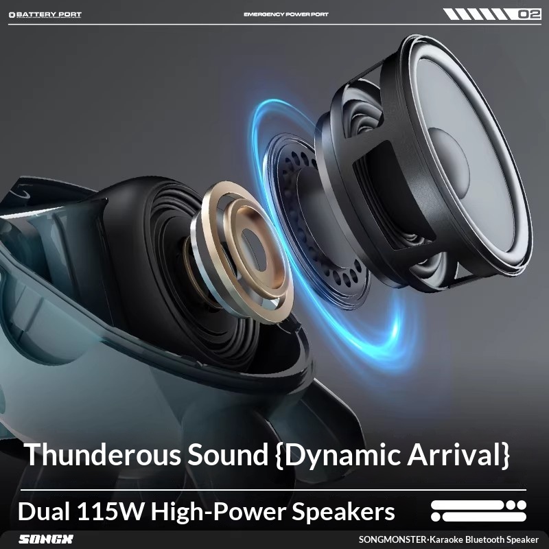SONGX Audio Dual Microphone Du - đánh giá và giá Bluetooth Speaker